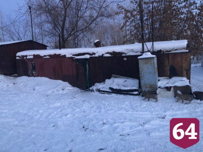 Стая собак привела мужчину к вагончику с мертвецом 