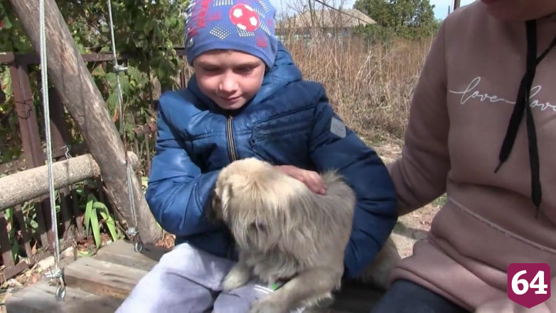 Под Саратовом 6-летний мальчик уехал на велосипеде за собакой и пропал