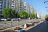 Губернатор высадил клены в центре Саратова