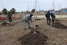 В детском лагере под Саратовом посадили липы и березы