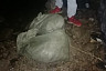Саратовец незаконно выловил 744 рака 