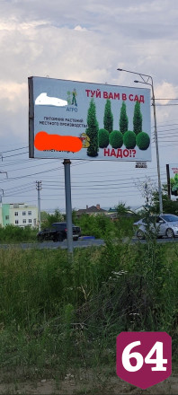 Саратовцы обсуждают двусмысленную рекламу туй