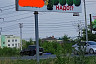 Саратовцы обсуждают двусмысленную рекламу туй