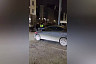 В центре Саратова агрессивный водитель «Мустанга» напал на полицейского