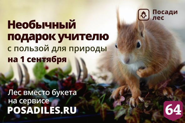Саратовцы могут подарить учителям на День знаний вместо букетов деревья  