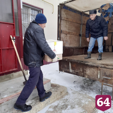 Саратовским бойцам СВО отправили посылки с медом и салом