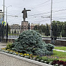 В Саратовскую область после дождей вернется жара