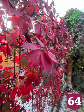 Саратовский министр показал грибную плантацию на приусадебном участке