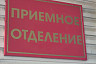 Саратовская стюардесса спасла котенка и попала в больницу