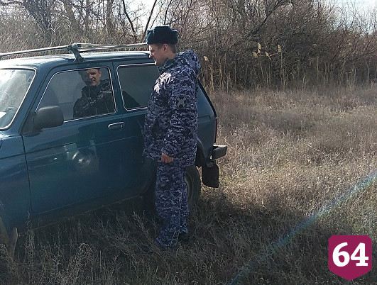 Саратовца накажут за отстрел самок серых уток 