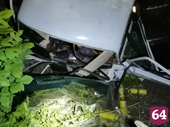 Под Саратовом 2 мужчин погибли в сбивших ограждение «Жигулях»  