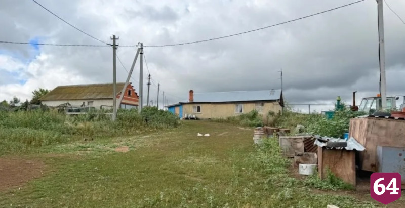 В Саратове продают ферму с коровами и баранами у пруда и леса