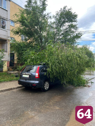 В Саратове деревья упали на автомобили и детскую площадку