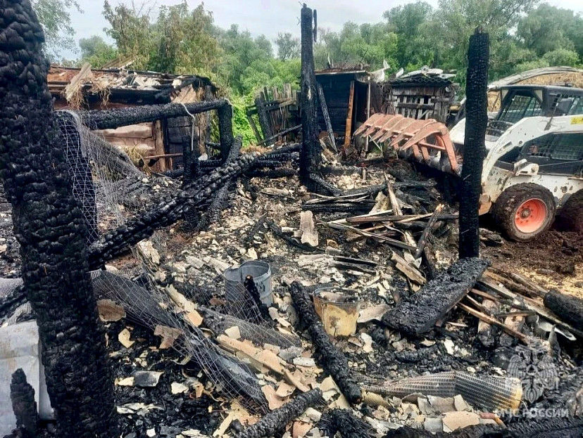 В Саратовской области в горящем сарае погибли кролики и бык