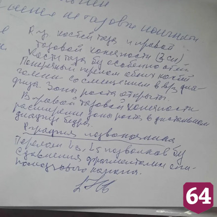 Жительница Саратова подобрала и выбросила щенка с 3-го этажа