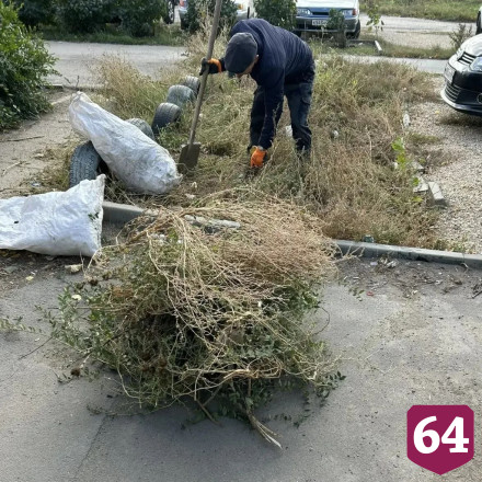 В Саратове на субботник вышли 7 тысяч человек