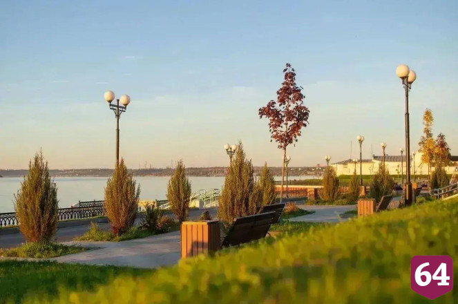 В Саратове высадят сотни деревьев и тысячи кустарников