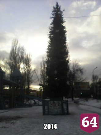 Саратовцы сравнили городские елки за 10 лет