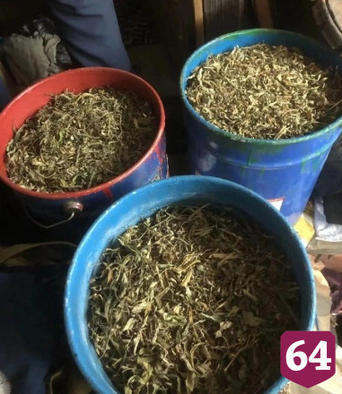 Полицейские нашли у саратовца четыре ведра марихуаны
