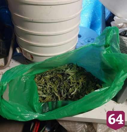 В доме саратовца нашли полкилограмма марихуаны
