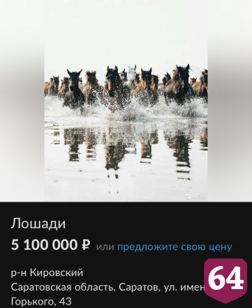 В Саратове за 5 миллионов продают табун лошадей