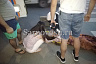 В центре Саратова девушка сломала бедро в ДТП