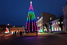 Жители сравнили елки шести саратовских городов