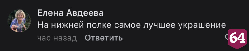 Пользователей соцсети восхитил кот на полке магазина в Саратове