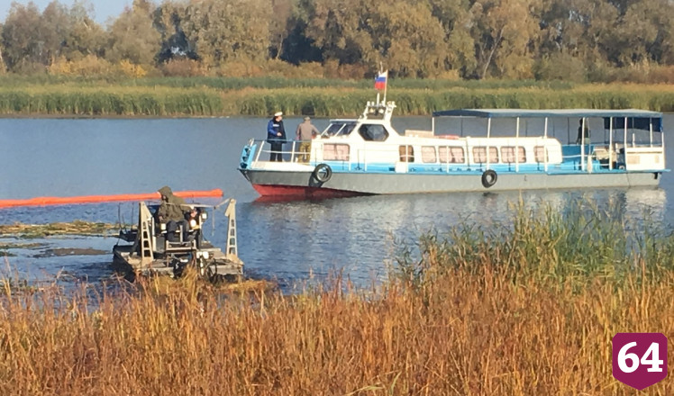 Под Саратовом шведская машина косит камыш в акватории Волги