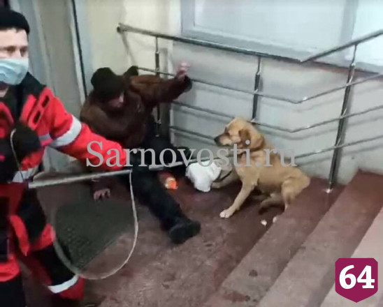 В Саратове собака пьяного мужчины не выпускала посетителей из магазина