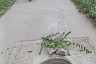 Саратовцев возмутил открытый колодец на тротуаре 