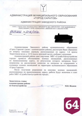 Саратовцы опасаются падения веток дерева