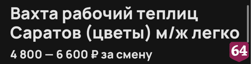 Саратовцам за работу с цветами в теплице заплатят 6 тысяч за смену