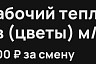 Саратовцам за работу с цветами в теплице заплатят 6 тысяч за смену