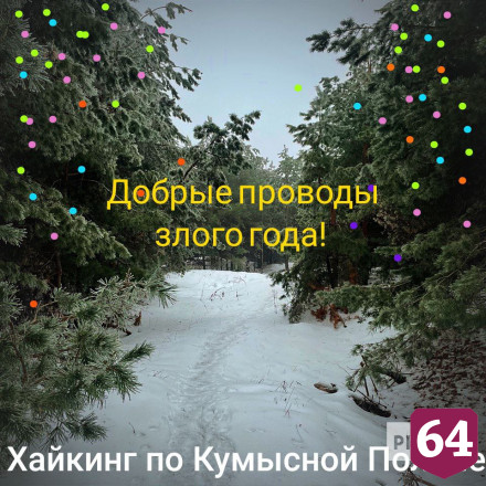 Саратовцев позвали проводить 2022 год в лесу