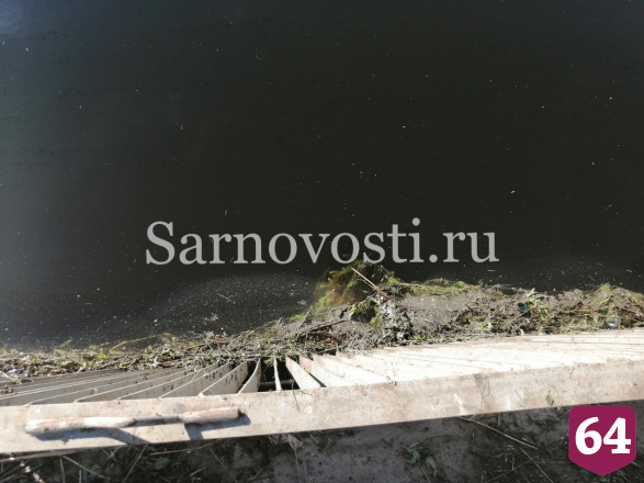Под Саратовом к шлюзу оросительного канала прибило труп мужчины