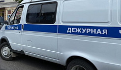 Саратовец ударил соседку топором по голове из-за забора 