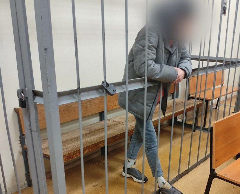 Дело избившего мать до смерти подростка дошло до суда 