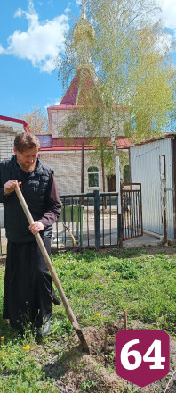 Жителям Саратовской области бесплатно раздают саженцы дубов