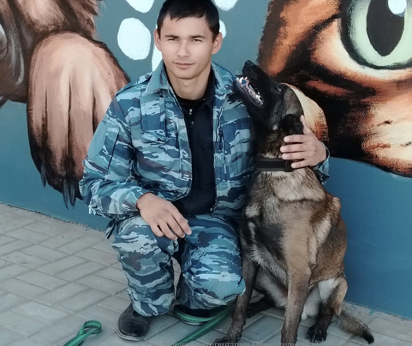 Полицейская овчарка пришла на вакцинацию к саратовским ветеринарам