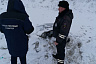 Виновника аварии с 4 погибшими под Саратовом отправили на поселение