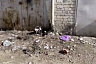 В Саратове пенсионер расстрелял собак на глазах у детей