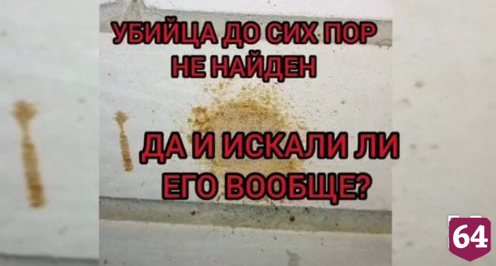 Саратовские полицейские за год не нашли растерзавшего собаку живодера 
