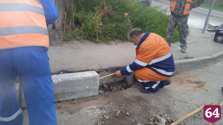 В сквере по просьбам саратовцев провели уборку и высадили деревья 