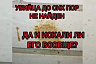 Саратовские полицейские за год не нашли растерзавшего собаку живодера 