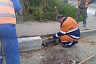В сквере по просьбам саратовцев провели уборку и высадили деревья 