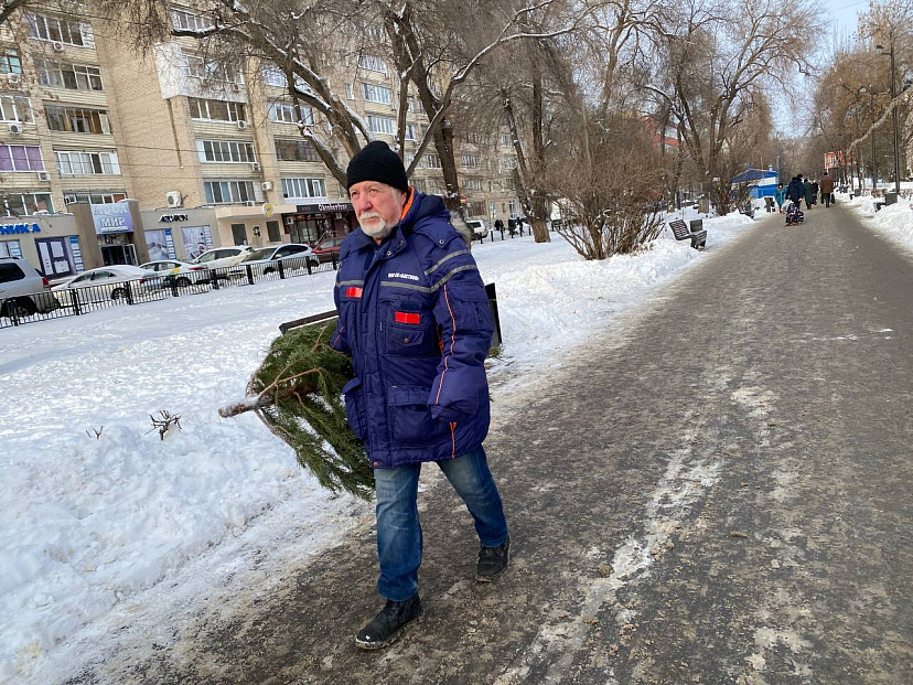 Под Саратовом стоимость елки выросла вдвое за 1,5 часа