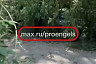 В Энгельсе деревья повалило на провода и автомобили