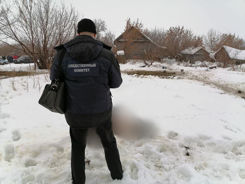 В саратовском селе бык насмерть забодал пастуха 