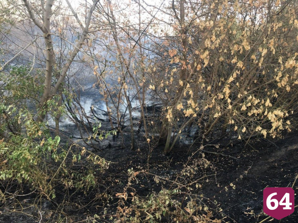 Под Энгельсом горел овраг с лесопосадками